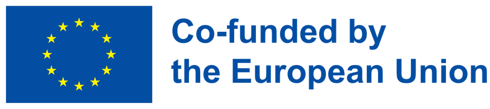 Co-funded by the European Union